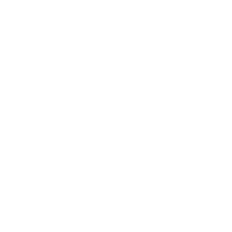 Detroit Digital, Michigan web design company